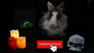 31 июля 2023 г.