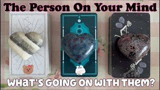 What's Going On with Your Person Now?‍Timeless pick a card love reading