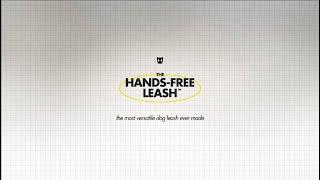 The Hands-Free Leash™ - Behind the Design - Zee.Dog