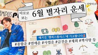 [타로/종합운] 타로로 보는 6월 별자리 운세 #금전운 #연애운 #재회운 #사업운