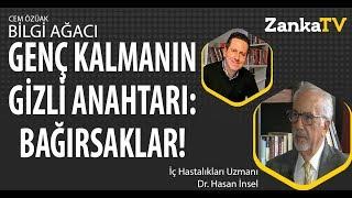 Genç Kalmanın Gizli Anahtarı: Bağırsaklar! | Dr. Hasan İnsel | Cem Özüak