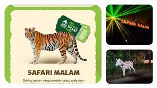 Taman Safari Bogor 2024 Serunya Safari Malam  Harga tiket masuk Safari beli dari hotel