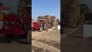 #tractor #tractorvideo #masseyferguson #385