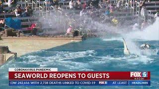 SeaWorld Draws Crowds On Reopening Day
