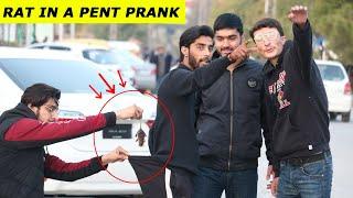 Fake Rat in a Pent Prank - Funny Public Prank | Masti Prank Tv