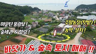 (매물번호 : L409) 바닷가 & 숲세권 농막설치 및 주말농장 토지 매매!!