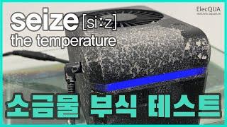 일렉쿠아 시즈(seize)의 염수(소금물) 침지 & 분무 테스트