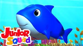 Bébé requin | Chansons pour enfants | Préscolaire | Junior Squad Française | Dessin animé