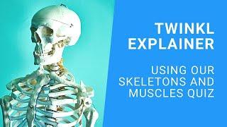 Learning about Skeletons and Muscles: KS2 Science Quiz