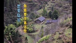 隱居一年後，給想要隱居的人的一點建議【隱居生活】