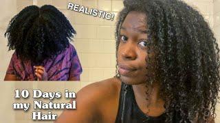 REALISTIC Low Maintenance Type 4 Natural Hair Regimen | 10 Days in My Natural Hair