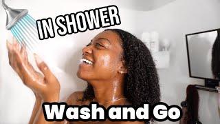 In Shower Wash and Go! Super Quick Wash Day with only 1 Styler 