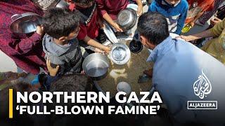 Northern Gaza in ‘full-blown famine’, UN food agency chief says