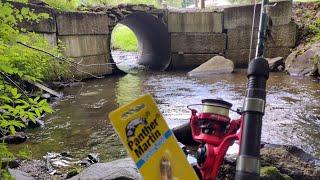 Fishing Small Hidden Creeks for Wild Trout  ( fish were hungry)