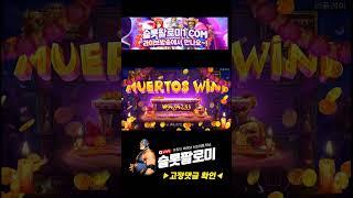 [슬롯][slot][슬롯머신] ️MUERTOS MULTIPLIER MEGAWAYS️ x5972배 MEGA WIN !!! #슬롯 #슬롯사이트 #슬롯머신 #슬롯실시간 #shorts