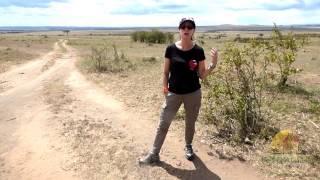 Destined to Travel African Safari: Millie Testimonial