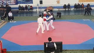 Shymkent Cup taekwondo WT Amirkhan Zhania vs Karadzhanova Azyza