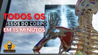 Todos os OSSOS do corpo em 15 minutos