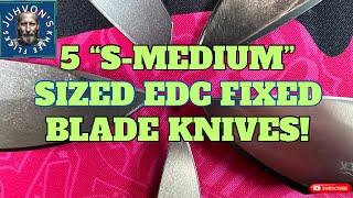 5 Banging “S-Medium” EDC Fixed Blades! Primary carry replacements?