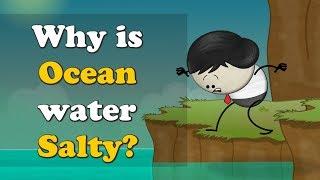 Why is Ocean water Salty? + more videos | #aumsum #kids #science #education #children