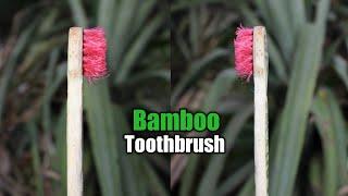 How to make toothbrush from bamboo - bamboo crafts #Shorts