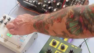Moog Subharmonicon // Hologram Microcosm // OTO BAM