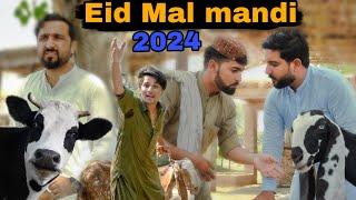 Eid mal mandi 2024 | pashto new funny video | Zindabad vines 2024