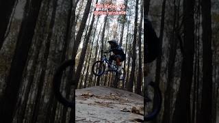 #bike #bmx #sports #sport #fun #jump #sebikes #outside #park #pov #athlete #2024 #2024shorts