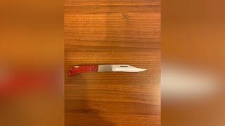 Հանրահավաքի երկու մասնակցի մոտ դանակ է հայտնաբերվել