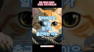 [감동실화] 할아버지가 매일 항구로 출근하는 진짜 이유