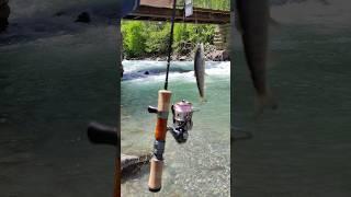 Форелька, в горной реке #архыз#зеленчук#рыбалка#шортс#видео#trout#fishing#daiwa#smith#shorts