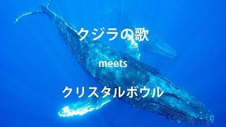 クジラの歌とクリスタルボウルのコラボレーション  by海響(MIKI)