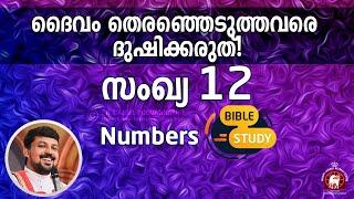 NUMBERS 12&13.  ദൈവം തെരഞ്ഞെടുത്തവരെ ദുഷിക്കരുത്!  Fr. Daniel Poovannathil. Bible study