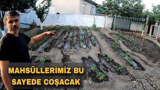 MAHSULLERİMİZ BU SAYEDE COŞACAK - BAHÇEDEMİZDE Kİ İLK HASATI YAPTIK