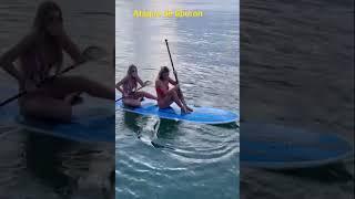 Ataque de tiburón a unas bañistas que están en tabla de Paddle surf.Ataca a unas chicas#shorts