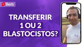 Transferir 1 ou 2 BLASTOCISTOS? #shorts