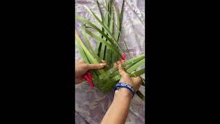 DIY KONO - Make your own basket with Harakeke (NZ flax)