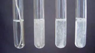 Group 2 Reactions with  water - Periodic Properties