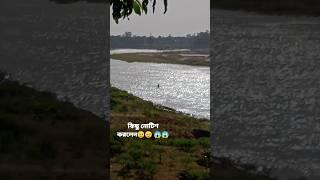 কিছু নোটিশ করলেন #youtubeshort#shorts#share#vairalvideo#river#nature@ajmirmusicvlogs7853 please