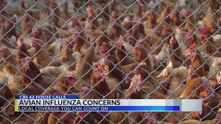 CBS 42 House Calls: Avian Influenza Concerns