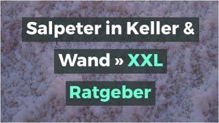 Salpeter in Keller & Wand » XXL Ratgeber