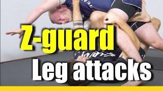 Z-guard LEG ATTACKS
