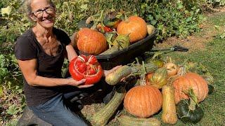 Pumpkin Harvest and Trellis Review | Permaculture Garden