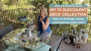 Debra's 70-Succulent Potted Deck Collection