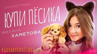 СНИППЕТ ТРЕКА МИЛАНА ХАМЕТОВА  - "КУПИ ПЁСИКА"