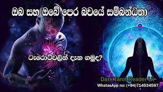 ඔබ සහ ඔබේ පෙර බවයේ ආදර සම්බන්ධතා ටැරොට්වලින් දැන ගමුද?|Sinhala|#tarotreading #astrology #tarot