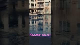 Texas swimming pool frozen solid!