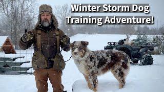 Winter Storm Dog Training | Don't Miss A Great Opporunity