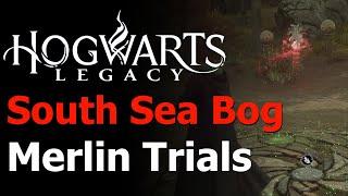 Hogwarts Legacy - All South Sea Bog Merlin Trials Guide - Merlin's Beard Achievement & Trophy