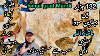 Ismail goat Mandi Karachi Cattle Rates Update ️ || 1 June 2025  || Cow Mandi 2025